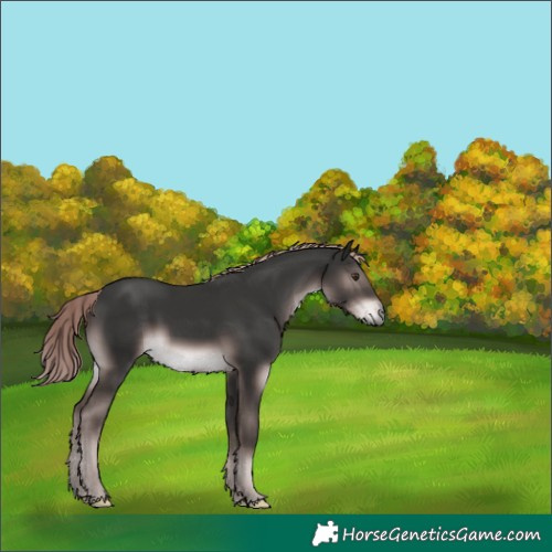 Horse Color:Platinum Liver Chestnut
