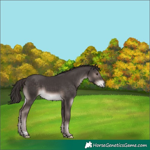Horse Color:Platinum Liver Chestnut 