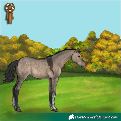 Horse Color:Brown Dun Tobiano 