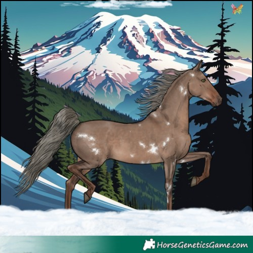 Horse Color:White Spotted Liver Red Dun Mushroom Rabicano 