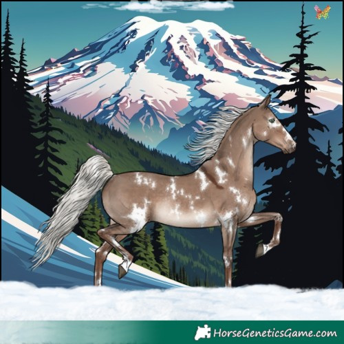 Horse Color:White Spotted Liver Red Dun Mushroom Rabicano 