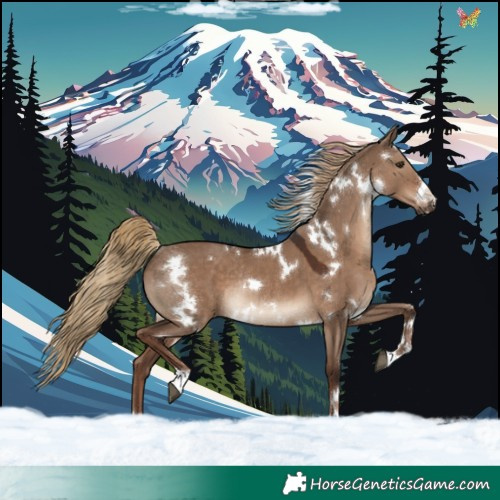 Horse Color:White Spotted Liver Red Dun Rabicano 