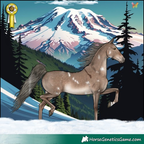 Horse Color:White Spotted Liver Red Dun Mushroom Rabicano 