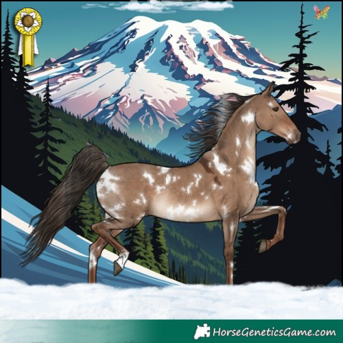 Horse Color:White Spotted Liver Red Dun Rabicano 