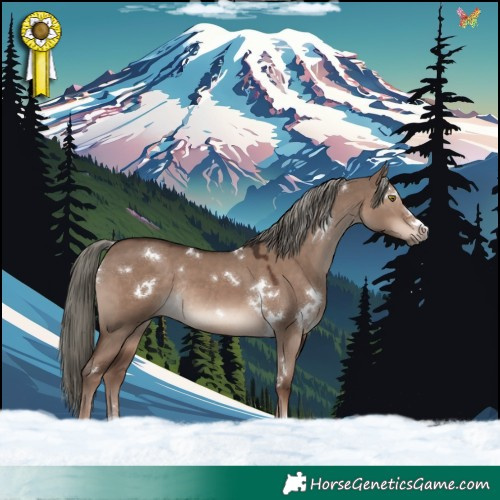 Horse Color:White Spotted Liver Red Dun Mushroom Rabicano 