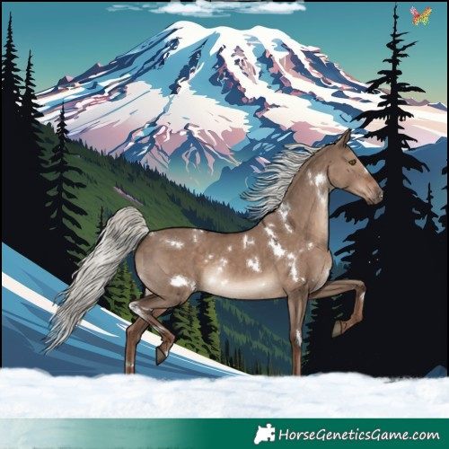 Horse Color:White Spotted Liver Red Dun Mushroom Rabicano 