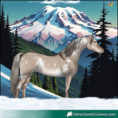 Horse Color:White Spotted Liver Red Dun Mushroom Rabicano 