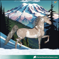 Horse Color:White Spotted Liver Red Dun Mushroom Rabicano