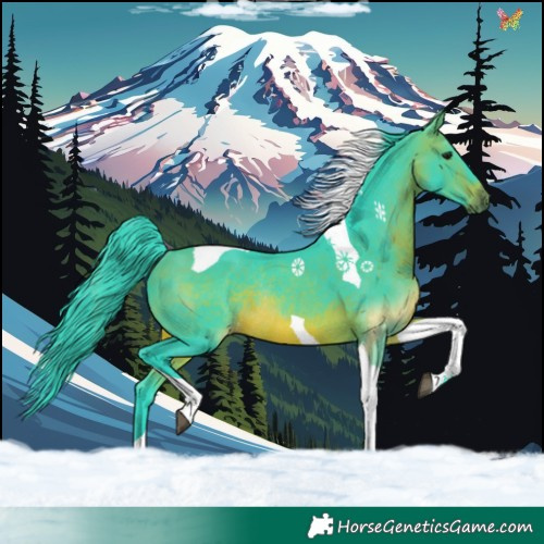Horse Color:Watercolor Brown Tobiano Rabicano 