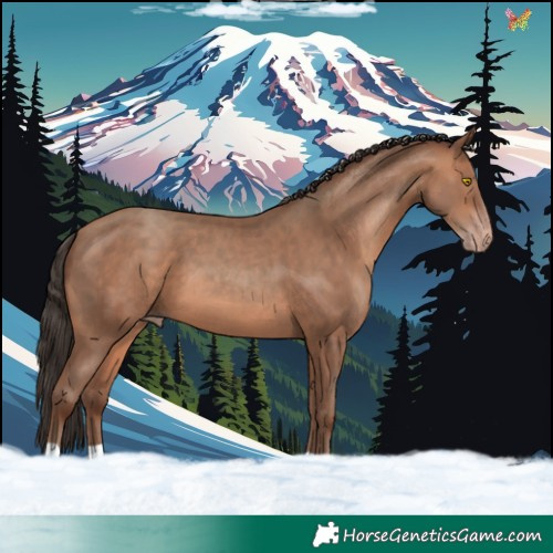 Horse Color:Sable Champagne 