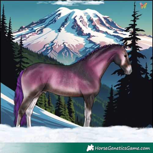 Horse Color:Painted Brown Onyx Rabicano 