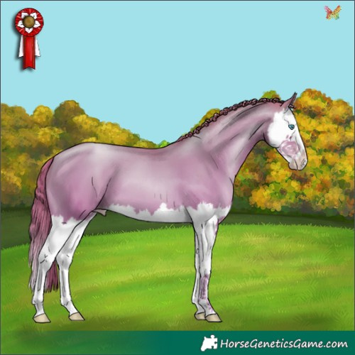 Horse Color:Black Snowdrop Pearl Splash 