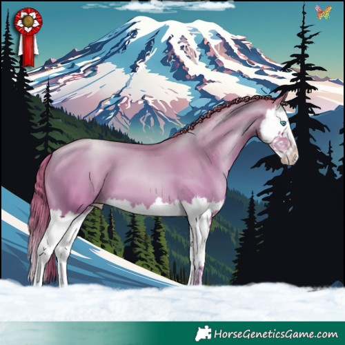 Horse Color:Black Snowdrop Pearl Splash 