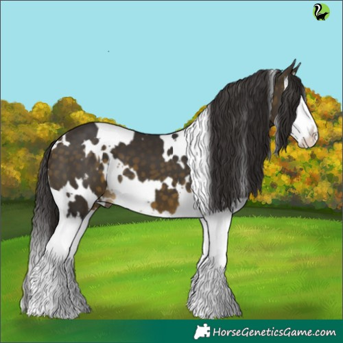 Horse Color:White Spotted Buckskin Splash 