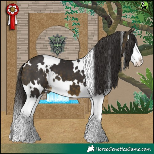 Horse Color:White Spotted Buckskin Splash 