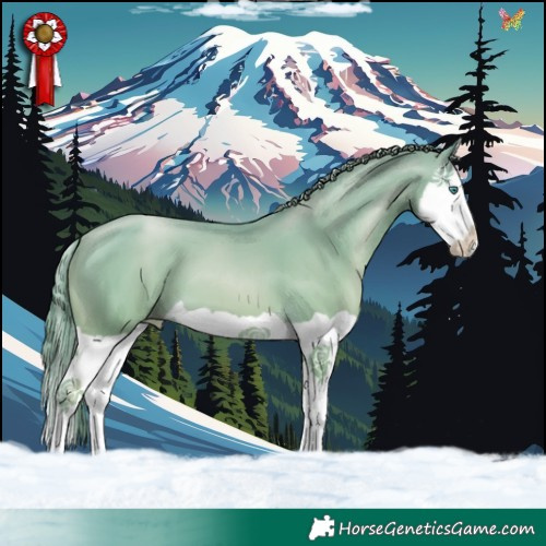 Horse Color:Black Snowdrop Pearl Splash 