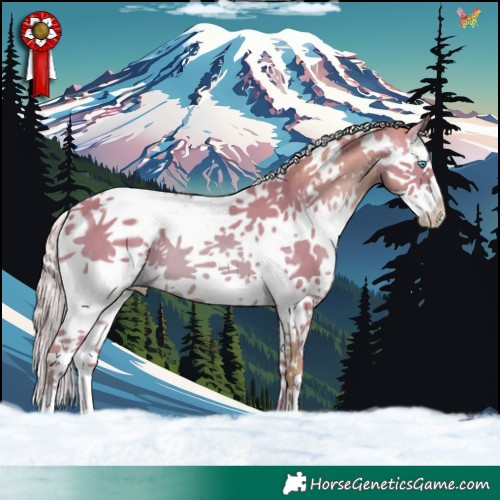 Horse Color:Watercolor White Spotted Chestnut Splash Tobiano 