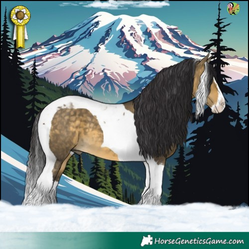 Horse Color:Buckskin Dun Splash Tobiano 