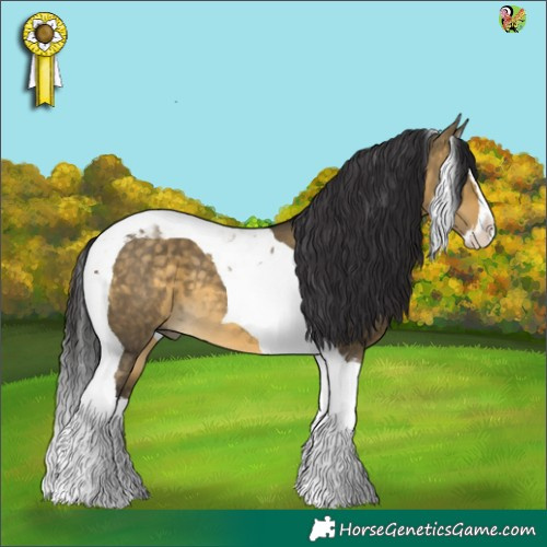 Horse Color:Buckskin Dun Splash Tobiano 