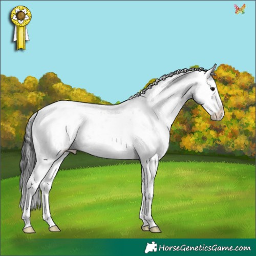 Horse Color:Brown Sabino Splash 