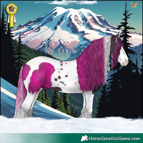 Horse Color:Black Splash Tobiano 