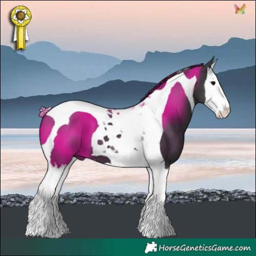 Horse Color:Black Splash Tobiano 