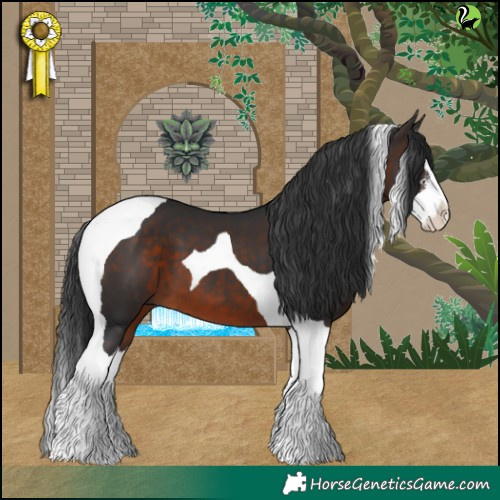 Horse Color:Brown Sabino Splash Tobiano 
