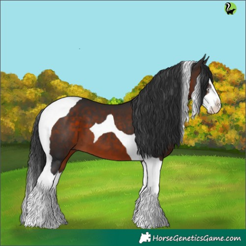 Horse Color:Brown Sabino Splash Tobiano 