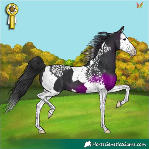 Horse Color:Brown Splash Tobiano 