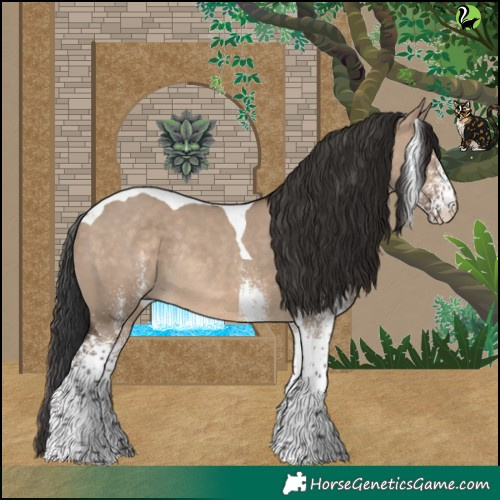 Horse Color:White Spotted Brown Dun Tobiano Rabicano 