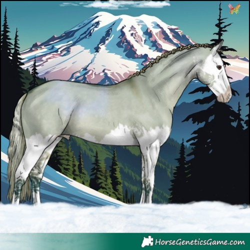 Horse Color:Watercolor White Spotted Liver Red Dun Splash 