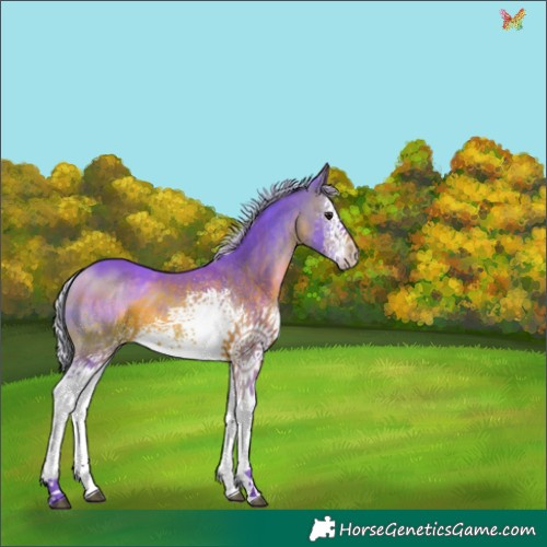 Horse Color:Watercolor White Spotted Silver Brown