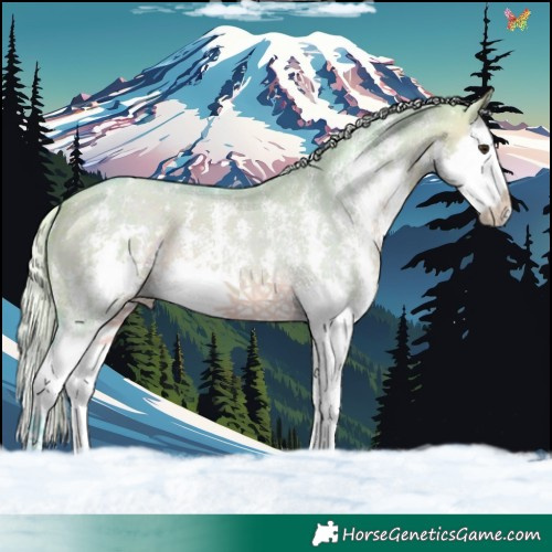 Horse Color:Watercolor Silver Brown Dun Sabino Splash 