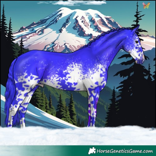 Horse Color:Watercolor White Spotted Black 