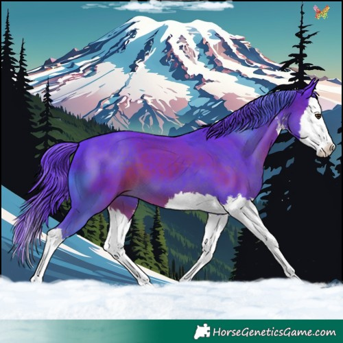 Horse Color:Watercolor White Spotted Liver Chestnut Splash