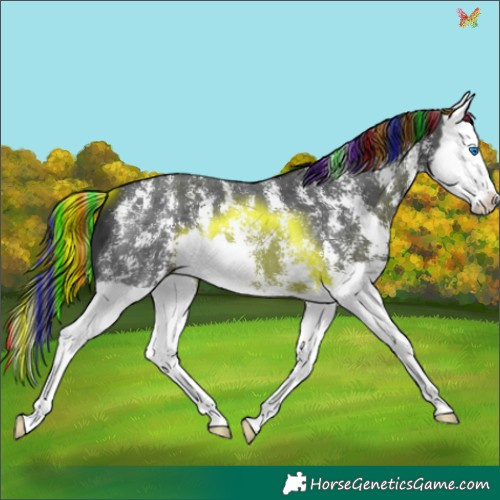 Horse Color:Painted Black Sabino Splash