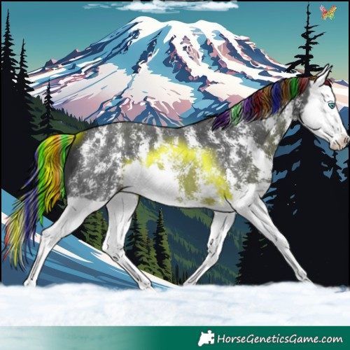 Horse Color:Painted Black Sabino Splash 