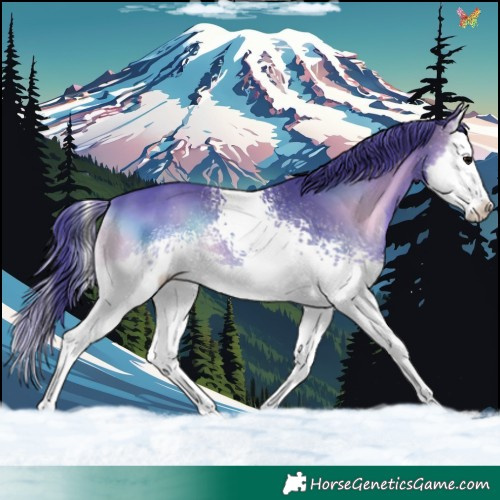 Horse Color:Watercolor White Spotted Brown Onyx Splash 