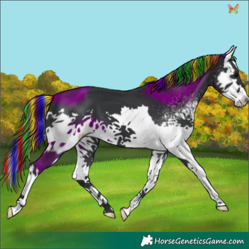 Horse Color:Painted White Spotted Black Splash
