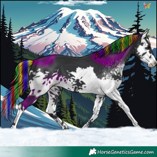 Horse Color:Painted White Spotted Black Splash 