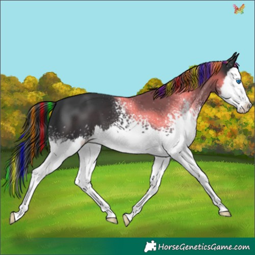 Horse Color:Painted White Spotted Black Splash