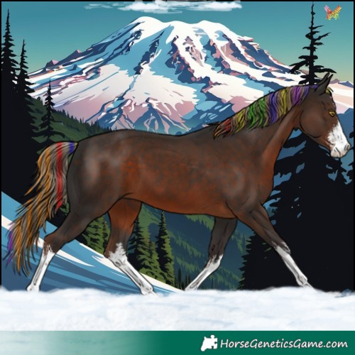 Horse Color:Painted White Spotted Liver Chestnut 