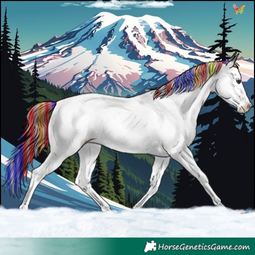Horse Color:Painted White Spotted Liver Chestnut Splash 
