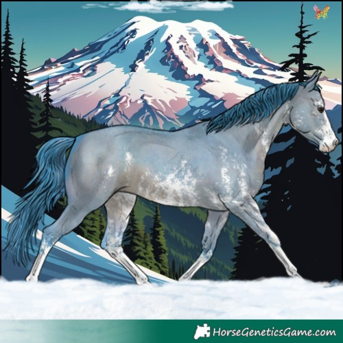 Horse Color:Watercolor Brown Dun Sabino 