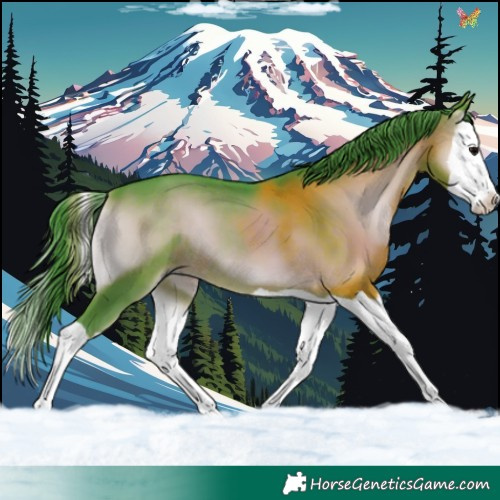 Horse Color:Watercolor Brown Onyx Splash 