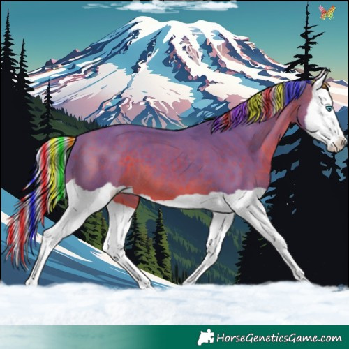 Horse Color:Painted Watercolor Silver Brown Splash 