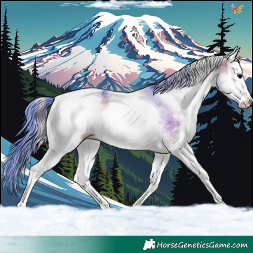 Horse Color:Watercolor White Spotted Bay Onyx Splash 