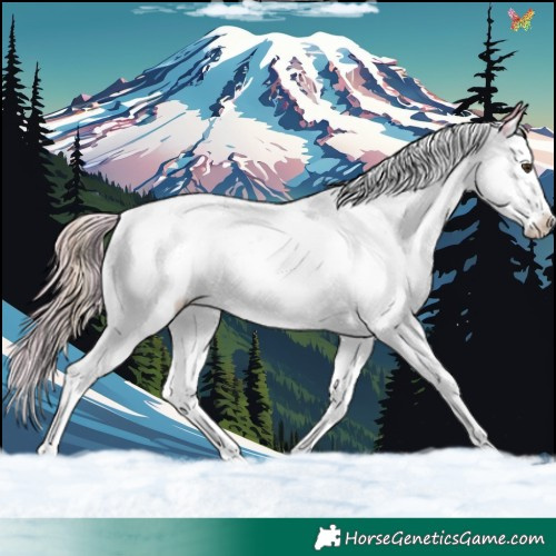 Horse Color:Watercolor White Spotted Liver Red Dun Splash 