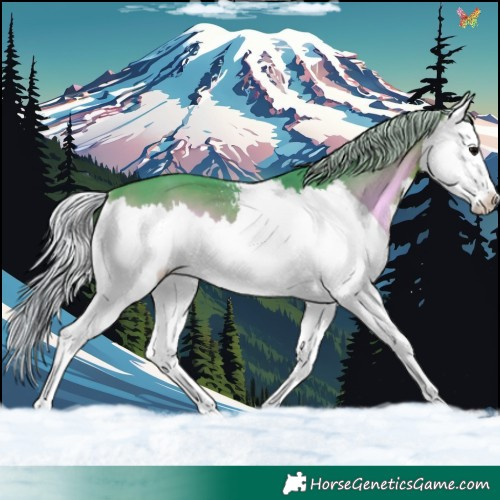 Horse Color:Watercolor White Spotted Silver Brown Onyx Splash
