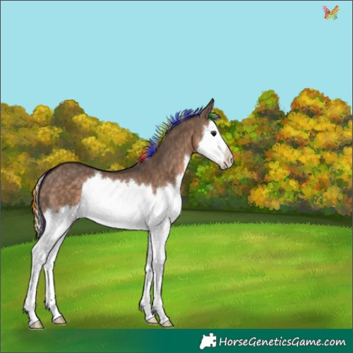 Horse Color:Painted White Spotted Silver Brown Dun Splash 